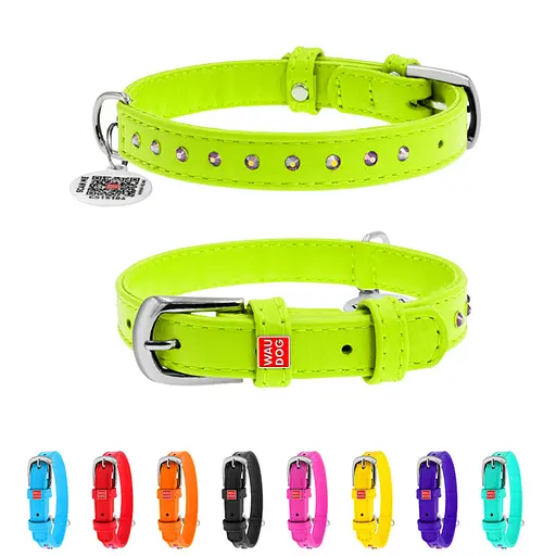 Нашийник для собак шкіряний Waudog Glamour з QR-паспортом з клейовими стразами Ш 15 мм Д 27-36 см салатовий - фото 2