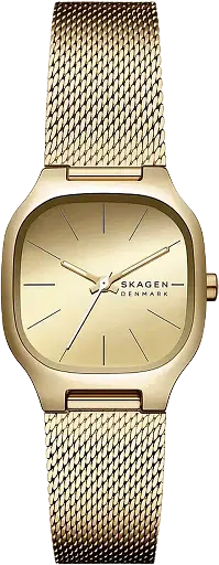 Часы Skagen Mellem Lille SKW3164