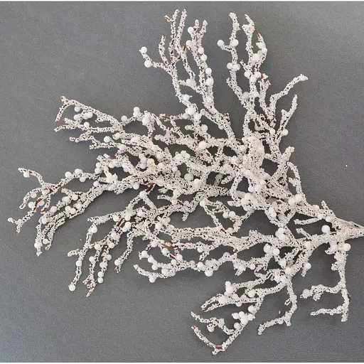 Гілка декоративна Yes! Fun, розлога засніжена з ягодами, 19 см