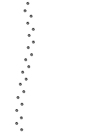 Детективи з вусами. Книга 6 - фото 7