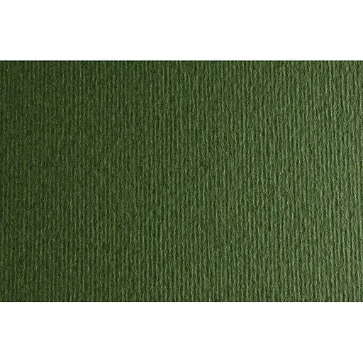 Папір для дизайну Fabriano Elle Erre В2 (50x70см) №28 verdone 220г/м2 темно-зелений