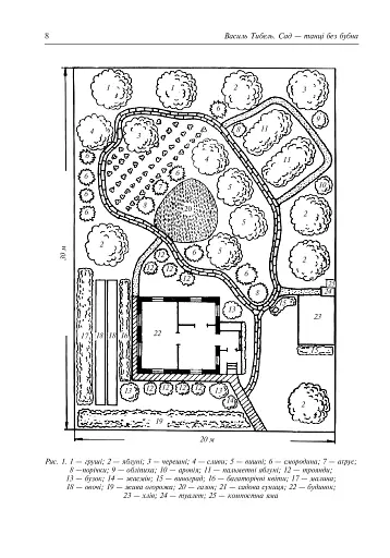 Сад – танці без бубна - фото 7
