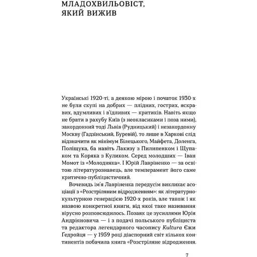 Дух беспокойства. Лавриненко Юрий - фото 4