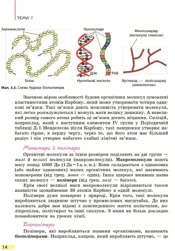 Біологія. Підручник. 9 клас - фото 13