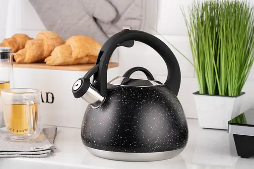 Чайник Ardesto Gemini 2.5 л нержавеющая сталь - фото 4