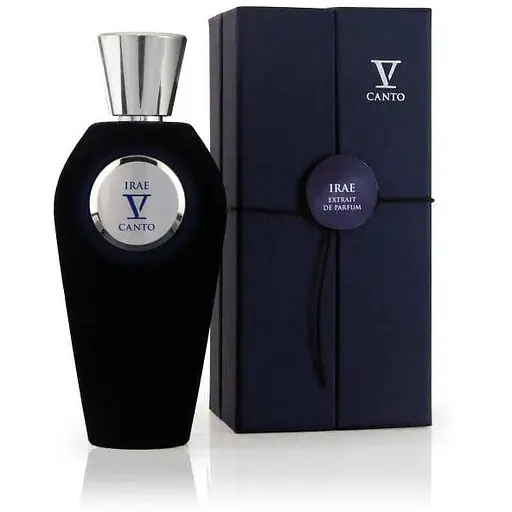 Парфюмированная вода оригинал V Canto Irae 100 мл - фото 1