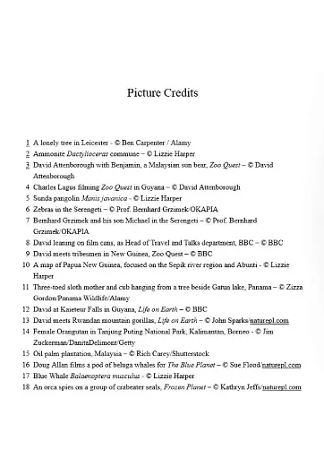 A Life on Our Planet - фото 6