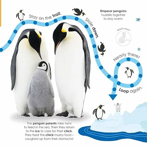 Follow the Trail. Winter Wonderland. Take a Peek! Fun Finger Trails! - фото 4