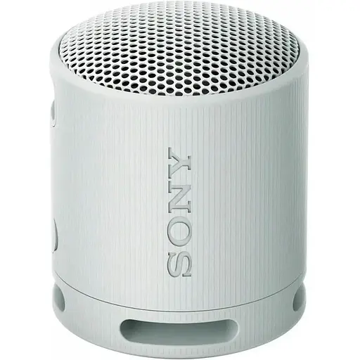 Портативная колонка Sony SRS-XB100 Grey (SRSXB100H.CE7) - фото 1
