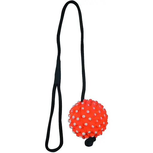 Игрушка для собак TatraPet Dental Fun мяч на веревке резина 7.2х50 см  