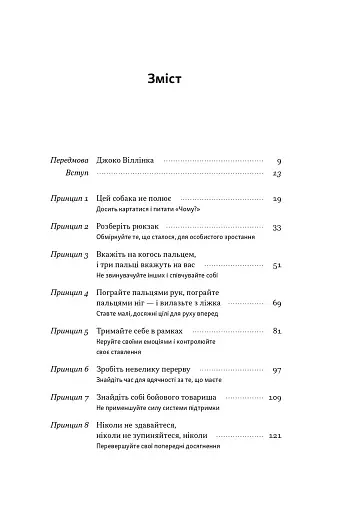 Повернутись у стрій. 12 принципів воїна, щоб відновити та перелаштувати своє життя - фото 2