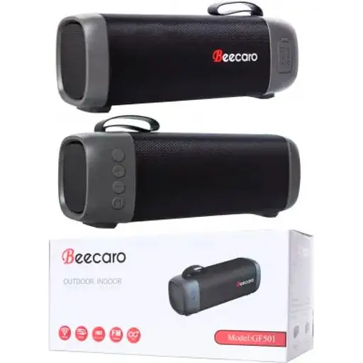 Колонка портативна Beecaro Cigii GF501 - фото 1
