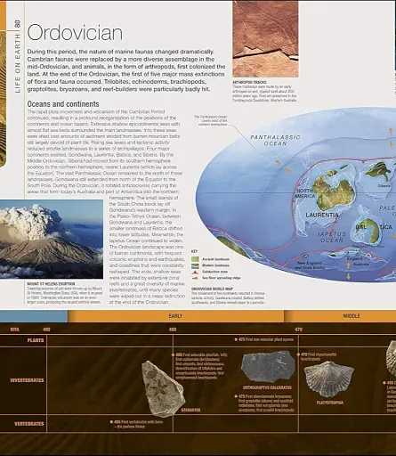 Dinosaurs and Prehistoric Life. The Definitive Visual Guide - фото 3