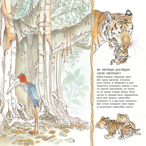 Тигреня Сілія - фото 3