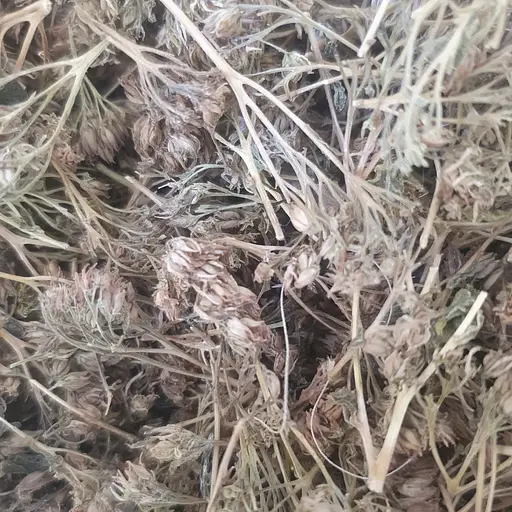 100 г очиток пурпурний/заяча капуста трава сушена - свіжий урожай