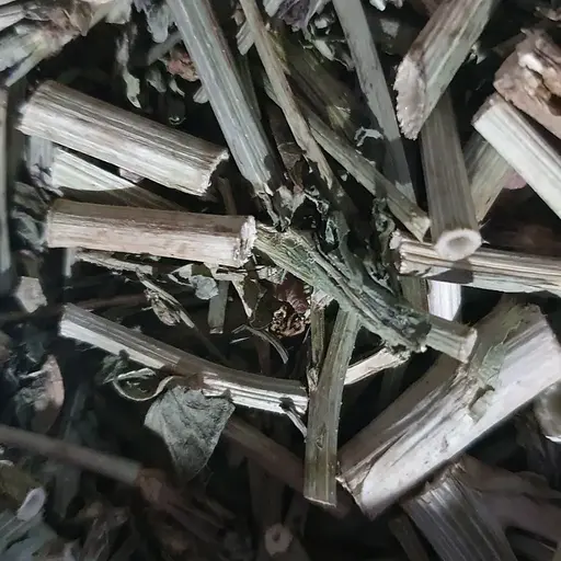 100 г цикорій звичайний трава/лист сушений - свіжий урожай