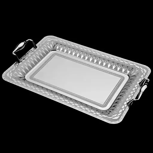 Піднос прямокутний 45х31, 5cm SN Гарда NGD117TRAY