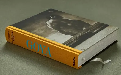 Goya. The Complete Prints - фото 4