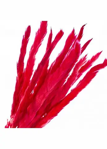 Пампасная трава Малиновая, стабилизированная (8213-037) 67.5 см Elisey   - фото 3