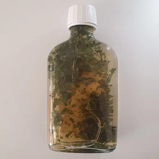 Настойка на листьях лещины лесной 200 мл - фото 2