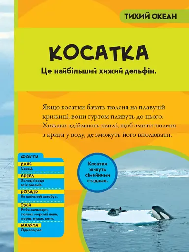 National Geographic. Моя перша енциклопедія. Океани - фото 4