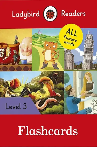 Ladybird Readers 3 Flashcards