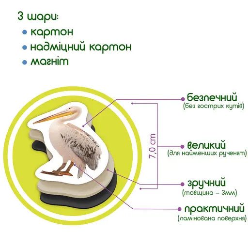 Детский набор магнитов Птицы фото Magdum ML4031-30 EN - фото 6