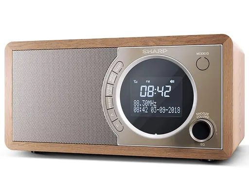 Портативна акустика Sharp DR-450(BR) (DR-450(BR)) - фото 3