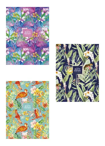 Комплект 3 шт общих тетрадей. Тетрадь Школярик А4 80 л. в линию 543 4823088205411 - фото 1