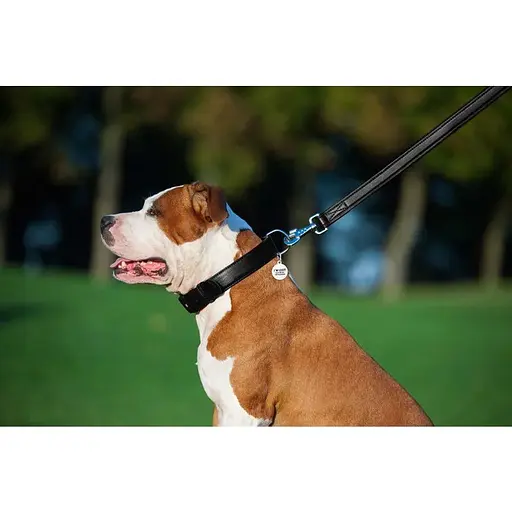 Повідець для собак Waudog Glamour шкіряний, чорний - фото 7