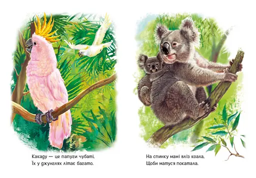 Книга Лісові звірята. Малятам про звіряток. Автор - Григорій Меламед (Ранок) - фото 3