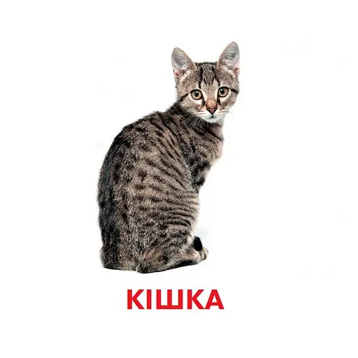 Розвиваючі картки для дітей Домашні тварини J012yD, 18 картинок - фото 3