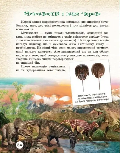 Тварини навколо нас - фото 7