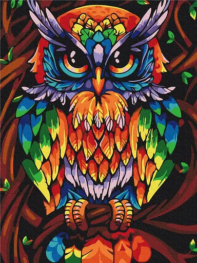 Картина за номерами на підрамнику Brushme Веселкова мудра сова