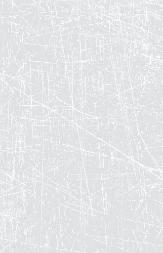 Паноптикум. Політика: статті та есеї - фото 5