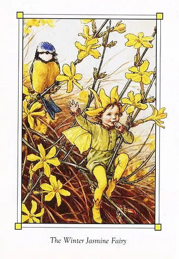 Flower Fairies of the Winter - фото 8