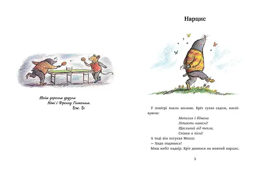 Мышь и Крит встречают неожиданности - Джойс Данбар (557898) - фото 2