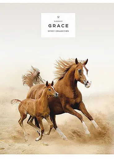 Комплект 4 шт загальних зошитів. Зошит Школярик А5 80 арк. у лінію 5061 4823088207750 - фото 4