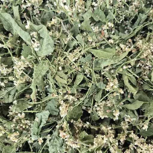 100 г черемха цвіт сушений- свіжий урожай