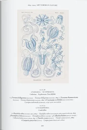 The Art and Science of Ernst Haeckel - фото 11