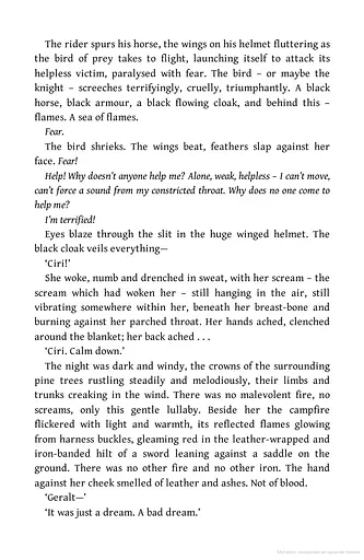 The Witcher. Blood of Elves - фото 5