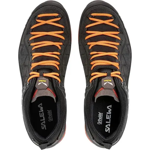Кросівки Salewa MS MTN Trainer 2 GTX 47 чорний