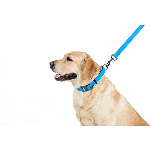 Повідець для собак водостійкий Waudog Waterproof M Ш 20 мм Д 122 см блакитний - фото 4