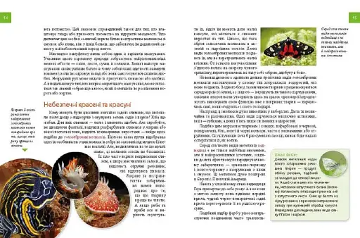 Енциклопедія для допитливих А5 : Тварини - майстри маскування (Українська ) - фото 3