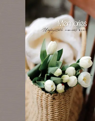 Альбом UFO PP-46200 Basket Tulips 10х15х200см (PP-46200 Basket Tulips) - фото 1