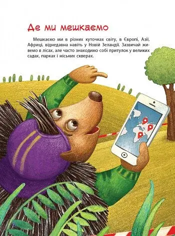 Пан Їжак. Зірки Pro - фото 6