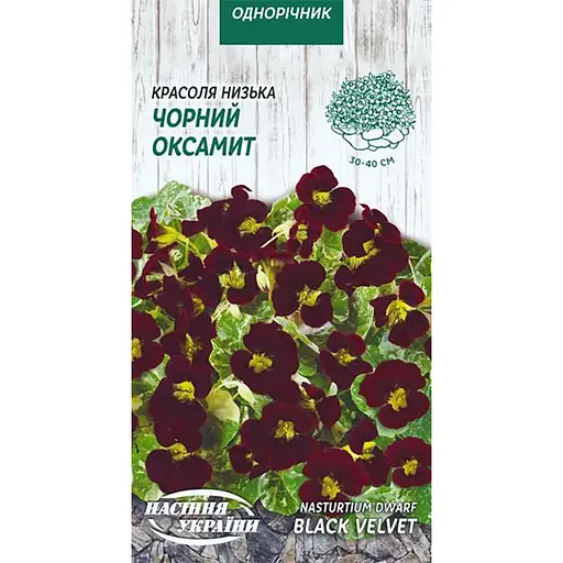 Семена Красоля Насіння України Черный бархат низкая 1 г (793900)