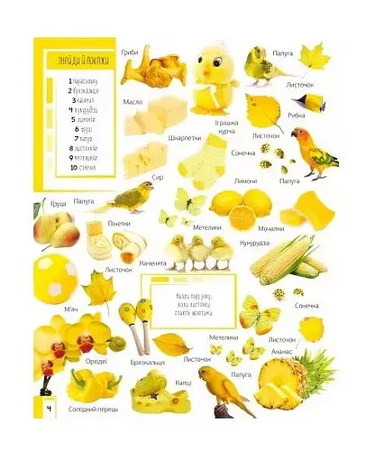 Книга 500 первых слов. Изучаем цвета. Развиваем внимание. Автор – Жученко Мария (Vivat) - фото 2