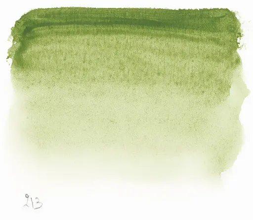 Акварельна фарба Sennelier L'Aquarelle, 10 мл, S1, Зелена земля (Green Earth) - фото 2