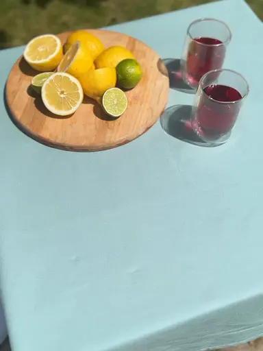 Водовідштовхувальна скатертина Тіффані однотон 260х140 см (+ 5 серветок 30х40) - фото 9